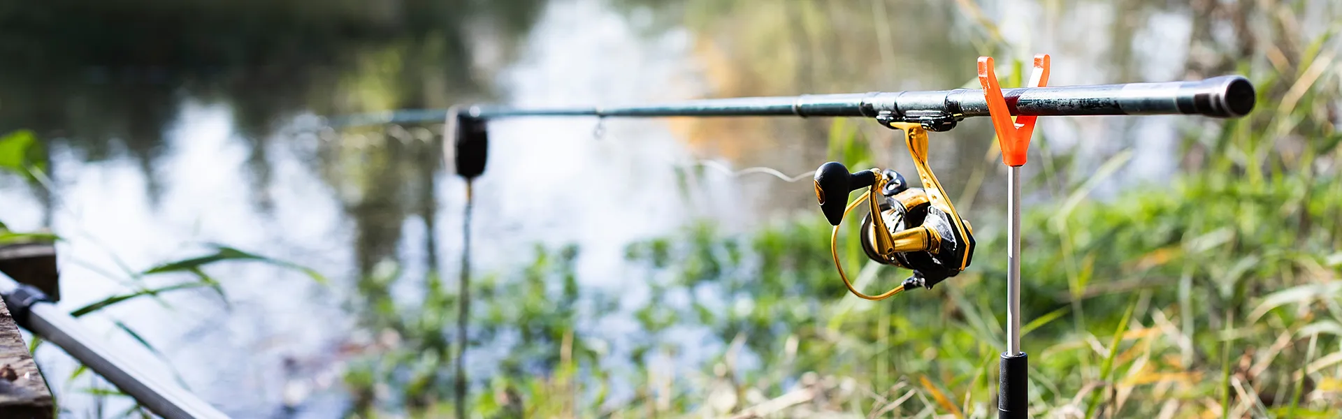 strip-fishing-rod-lake strip-fishing-rod-lake